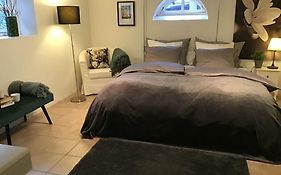 Special Offer,One Of Its Kind, Extremely Central In Herning, Danish Hosts, Extremely Clean, Very Quiet Street But A Stonethrough From Bars & Restaurants